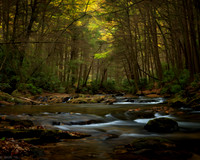 FallFlow