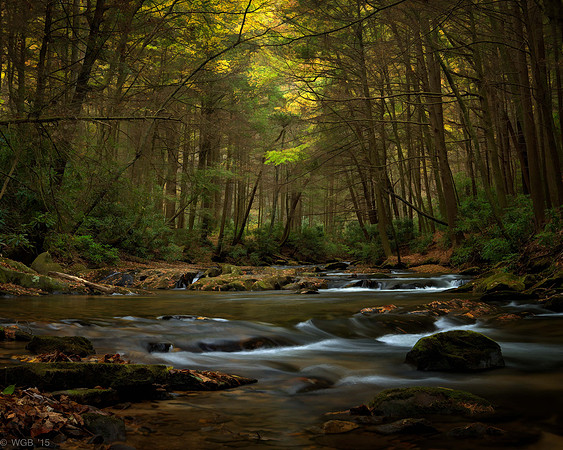FallFlow