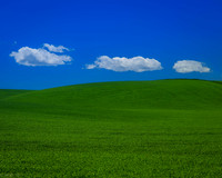 FieldsOfGreen