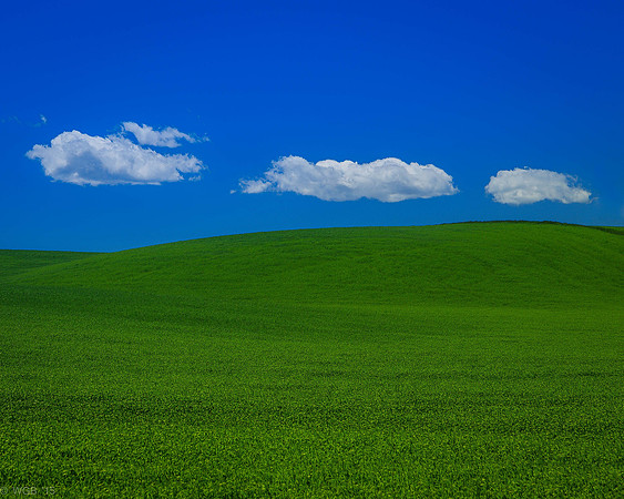 FieldsOfGreen